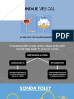 SONDA VESICAL