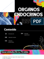 Órganos Endocrinos Tiroide, Paratiroides, Glándula Suprarrenal