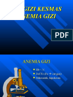 Anemia Gizi