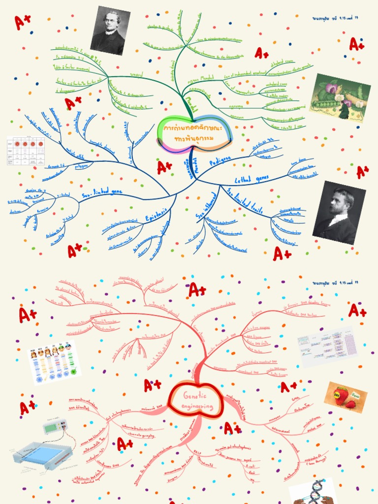 Mind Map Biology PDF | PDF