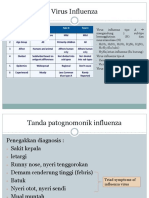 Virus Influenza