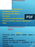 Fisiopatologia Osea