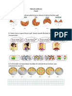 Intuitext 03mat Fractii