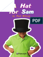 A Hat For Sam
