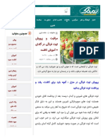 توت فرنگی PDF