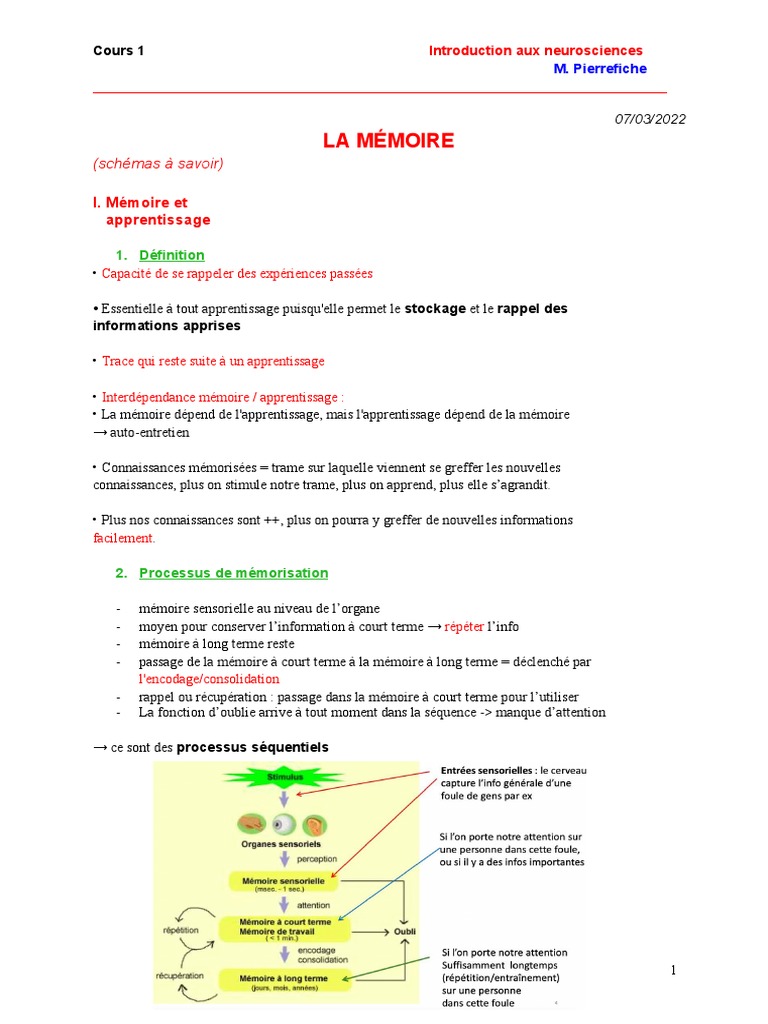 Mémoire et apprentissage en neurosciences | PDF | Potentialisation à ...