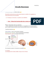 Circuits Neuronaux