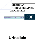 Pemeriksaan Urine