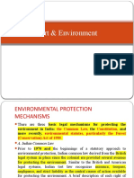 Tort & Environment