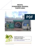 Profil PKM Marisa 2023 PDF