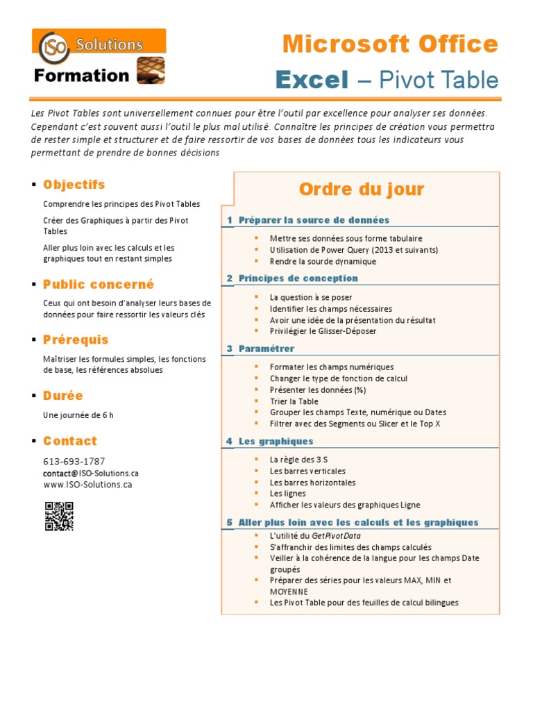 Maîtriser les Pivot Tables en Excel | PDF