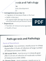 Platyhelminthes-3rd Class PDF