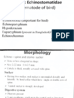 Platyhelminthes - 6th Class PDF