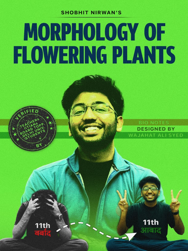 Add Button Javascript With Statement Syntax Vs Morphology Of Flowering