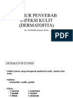 Dermatofita