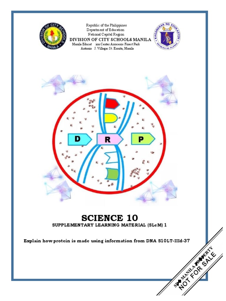 Q3 WK4 SLem ADM Module Protein Synthesis | PDF | Dna | Translation ...