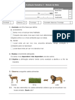 Avaliação Sumativa 3 - Estudo do Meio