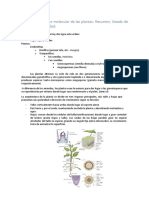 Bases Moleculares Del Desarrollo Vegetal - Temario