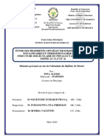 Mémoire FINA PDF