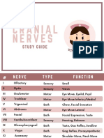 Cranial Nerves Study Guide