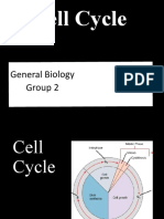 Cell Cycle-WPS Office