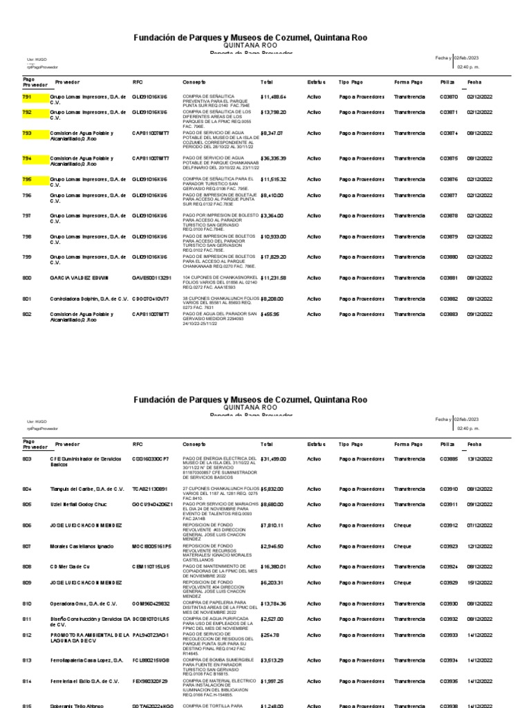 Reporte de Pagos a Proveedores FPMC | PDF | Industrias de servicio