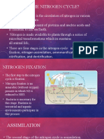 What Is The Nitrogen Cycle?