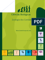 Livro - Ciencias Biologicas - Zoologia Dos Cordados