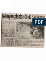 El - Destruyen Cultivo de Marihuana - 19930923