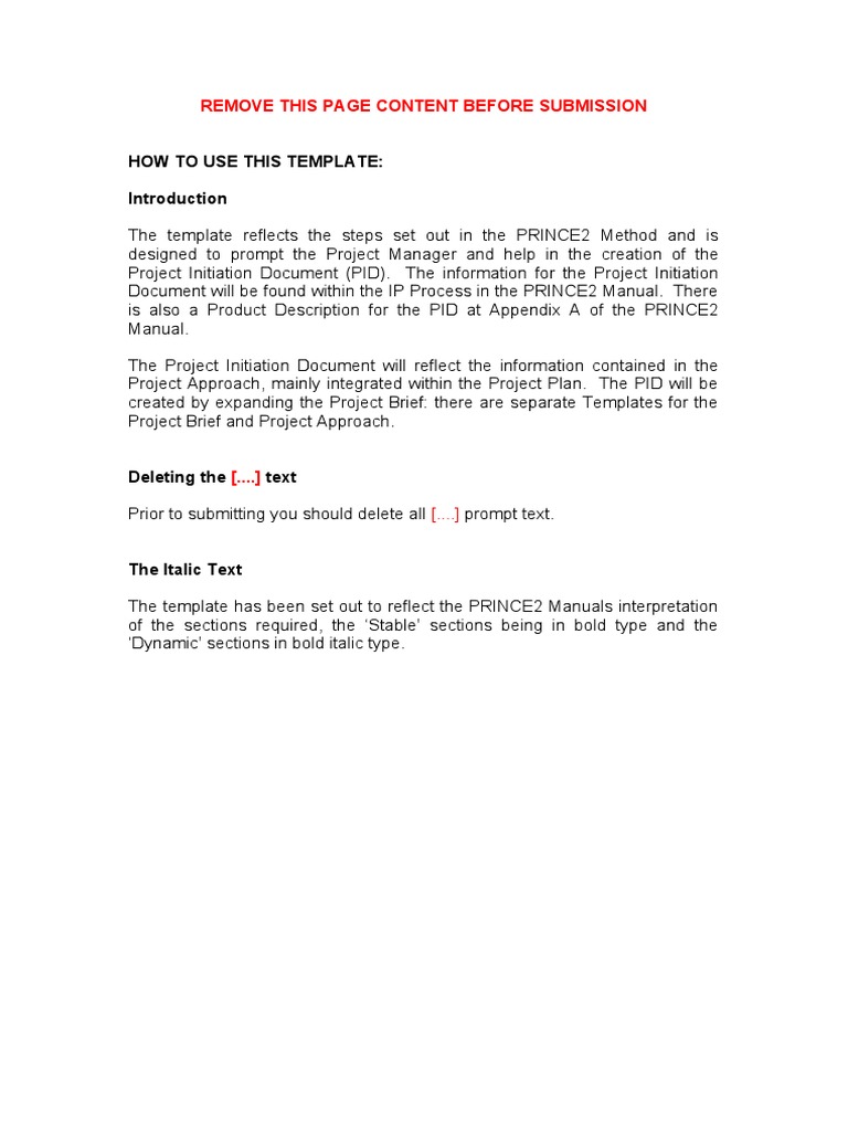 PID Template Tagged PDF PDF Project Management Business