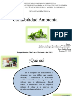 Presentación, Contabilidad Ambiental.