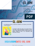 El Adn PDF