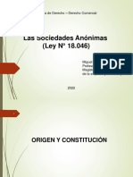 Origen y Constitución de Las S.A PDF