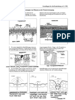 Ökologie PDF