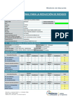 002 FORMATO PIRR 2022 Automatizado PDF