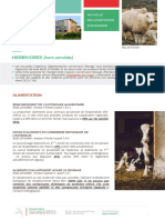 Fiche Herbivores PDF