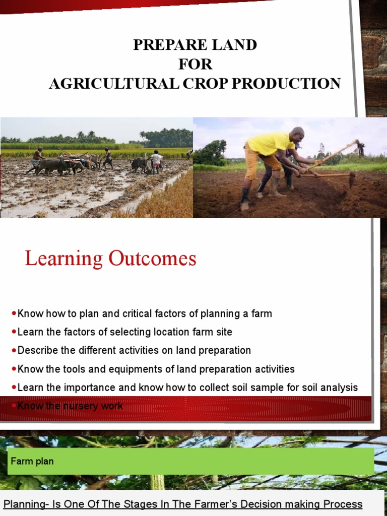 Land Preparation for Crop Production | PDF | Soil | Plant Nursery