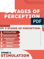 5 Stages of Perception