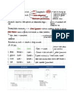 Contabilità PDF