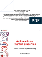 Amino Acids - R Groups