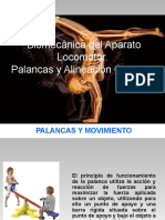 Biomecanica Del Aparato Locomotor, Palancas y Alineacion TEMA 3