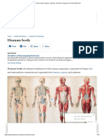 Human Body - Organs, Systems, Structure, Diagram, & Facts - Britannica