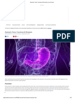 Stomach - Facts, Functions & Diseases - Live Sciencehi