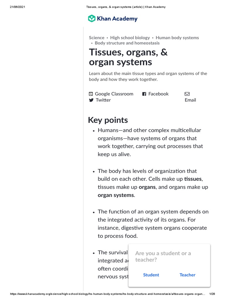 Image Result For Tissues Organs Organ Systems Article Khan Academy