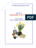 LuxBonsai-4-modun 04 Cham Soc Cay Canh 3435 PDF