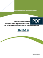 Instructivo Formato IIN Estadística - 20102015