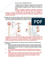 Prova 5- Aula 8 e Aula 9