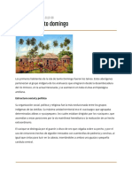 Informe PDF