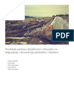 Przyklady Wplywu Dzialalnosci CZ PDF