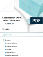 SAP BI - Reporting y Diseño de Queries-Ejercicios